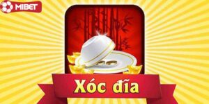 Cách nghe vị xóc đĩa